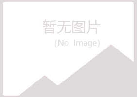 文成县夏日能源有限公司